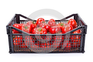 Tomatoes (Solanum lycopersicum) in plastic crate photo