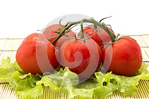 Tomatoes with sprigs on wooden background with let