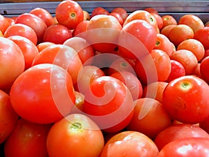 Tomatoes in square-wooden