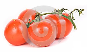 Tomatoes on stem