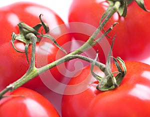 Tomatoes on stem