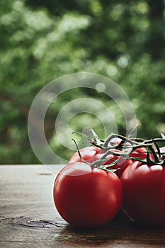 Tomatoes on the stem