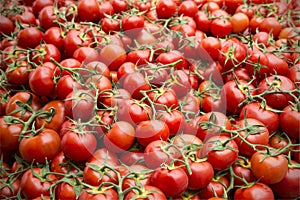 Tomatoes street market Provence
