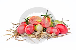 Tomatoes style Ã¯Â¿Â½ Lycopersicon exculentum Mill