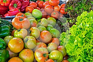 Tomatoes, sweet pepper and salad