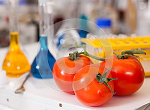 Tomatoes on table with lab equipment
