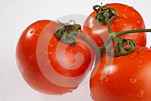 Tomatoes - Tomaten