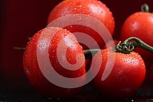 Tomatoes under water drops, red background