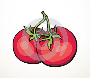 Tomatoes. Vector drawing icon sign
