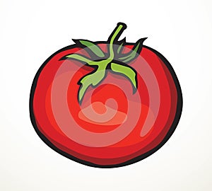 Tomatoes. Vector drawing icon sign