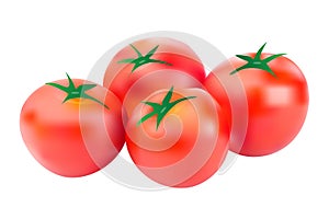 Tomatoes vector