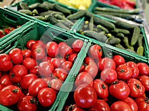 Tomatoes vegetables cornichon