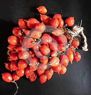 Tomatoes of Vesuvius