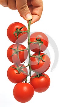 Tomatoes on the vine