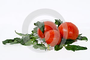 Tomatoes and Vine