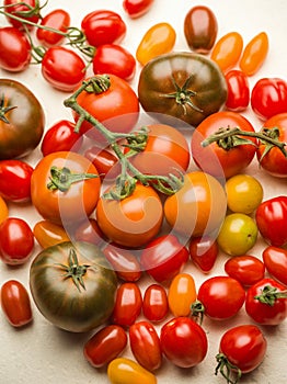 Tomatoes on a vine