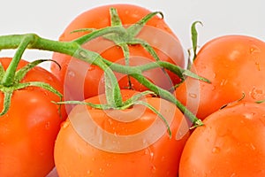 Tomatoes on the vine