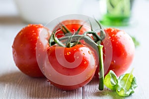 Tomatoes on the vine and basil leaves for salad