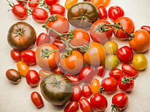 Tomatoes on a vine on a table