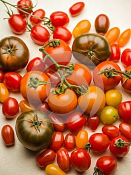 Tomatoes on a vine on a table