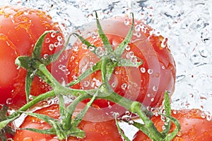 Paradajky paradajka voda čerstvý jedlo 