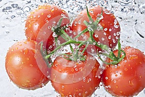 Tomatoes Water Spray Healthy Food