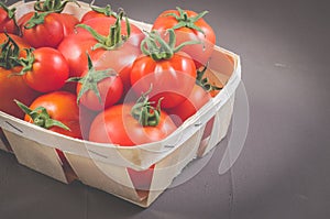 tomatoes in a wattled box/tomatoes in a wattled box on a dark background, copy space