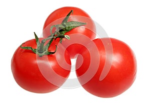 Tomatoes on a white background