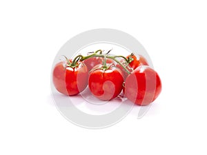 Tomatoes on white background