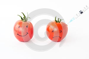 Tomatoes on a white background with faces in which are pricked from a syringe gmo and nitrates, close-up, genetically photo
