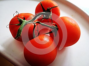 Tomatoes on the white background