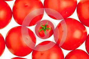 Tomatoes. White background.