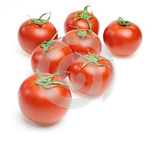 Tomatoes in a white background