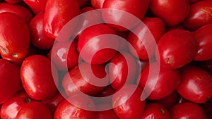 Tomatoes you see not one and much.