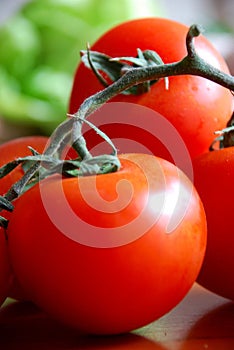 Tomatos photo