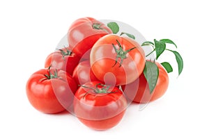 Tomatos