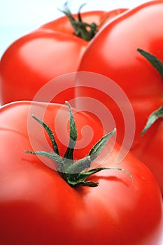Tomatos
