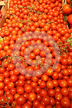 Tomatos