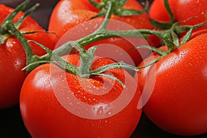 Tomatos in bunch photo