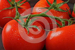 Tomatos in bunch