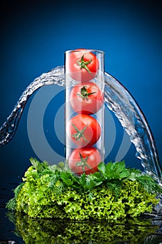 Tomatos and greenery in water