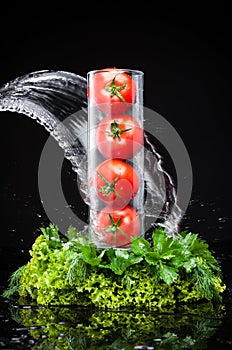 Tomatos and greenery in water