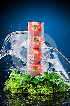 Tomatos and greenery in water