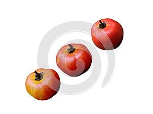 Tomatos isolated on white background