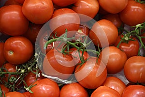 TOMATTOES FOR SALE IN COPENAHGEN