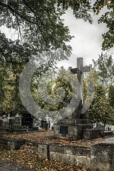 Tomb of doctor Dusan Makovicky in cemetery in town Ruzomberok, Slovakia