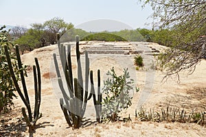 Tomb findings from Zaachila, Oaxaca, on display at Mexico City's National Museum of Anthropology