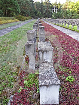 Tomb Stones Crosses at Cemetery of Palmiry Memorial Site, September 2018, Palmiry, Poland