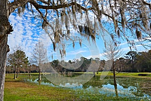 Tomball Burroughs park in Houston Texas