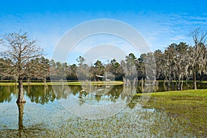 Tomball Burroughs park in Houston Texas